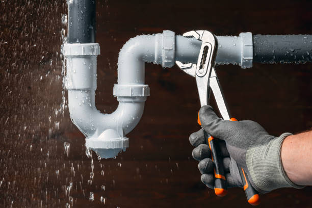 Professional Leak Detection technician working in Roberts, ID